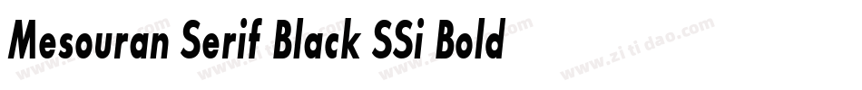 Mesouran Serif Black SSi Bold Italic字体转换